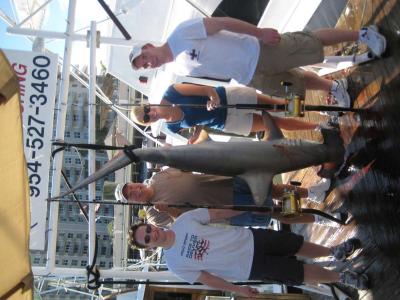 Nice Hammerhead shark caught on a Fort Lauderdale shark fishing charter